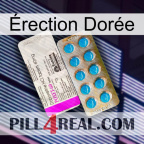 Érection Dorée new07